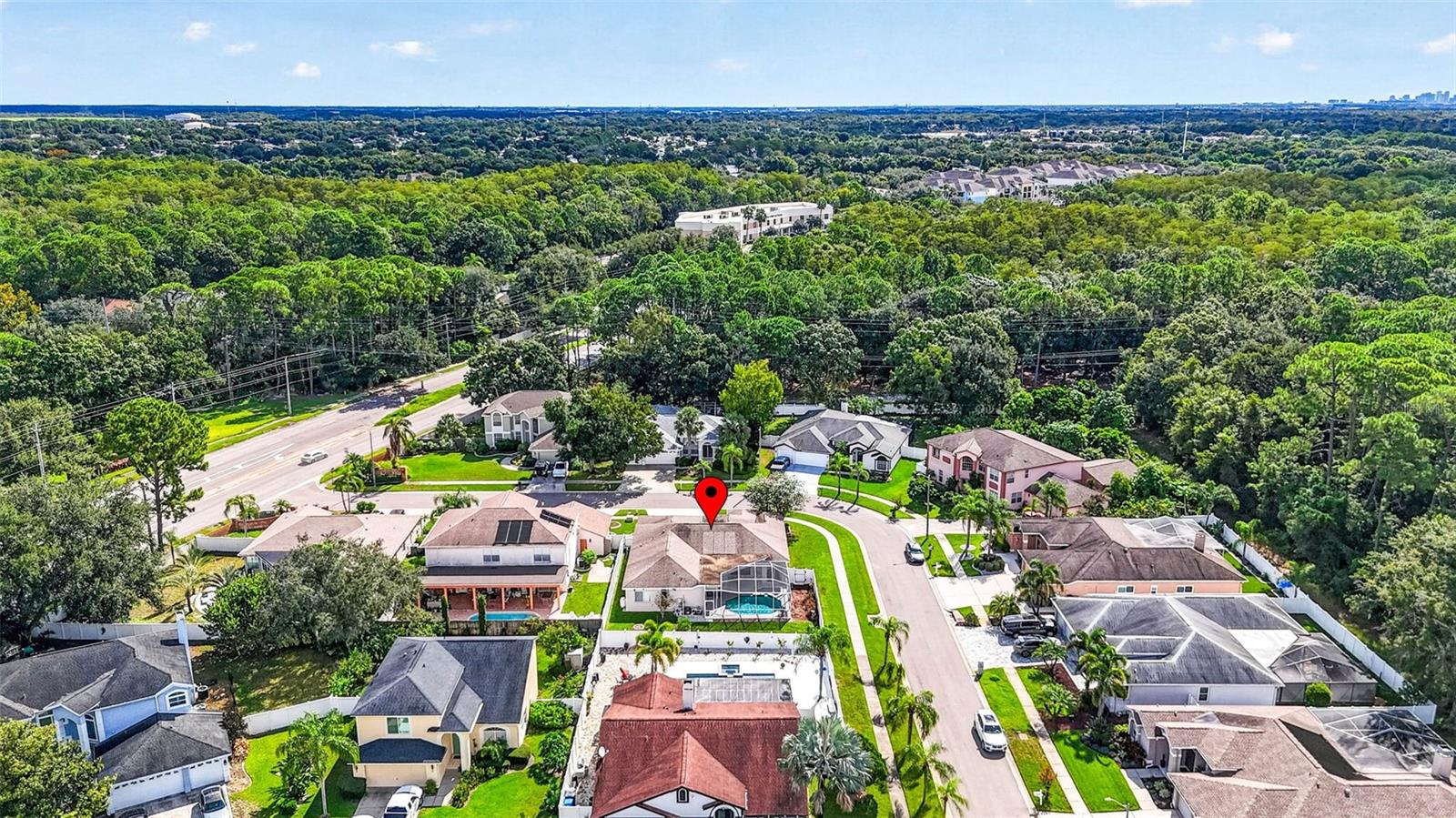10007 VISTA POINTE DR — photo 74