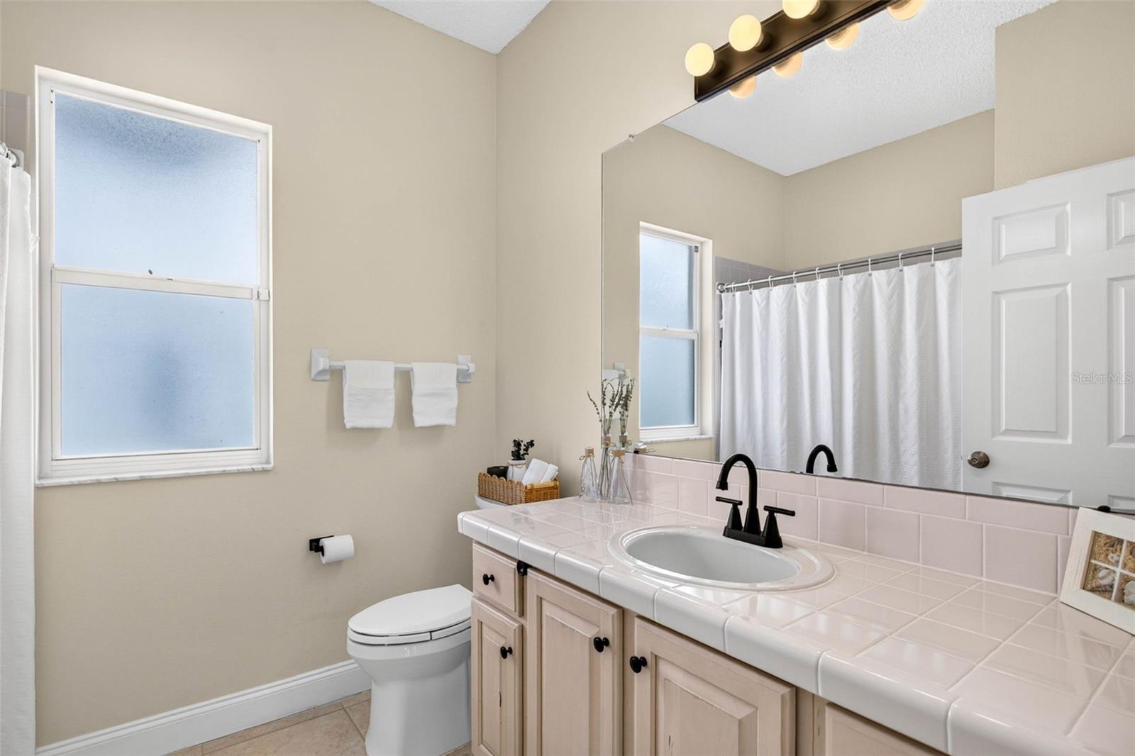 10007 VISTA POINTE DR — photo 46