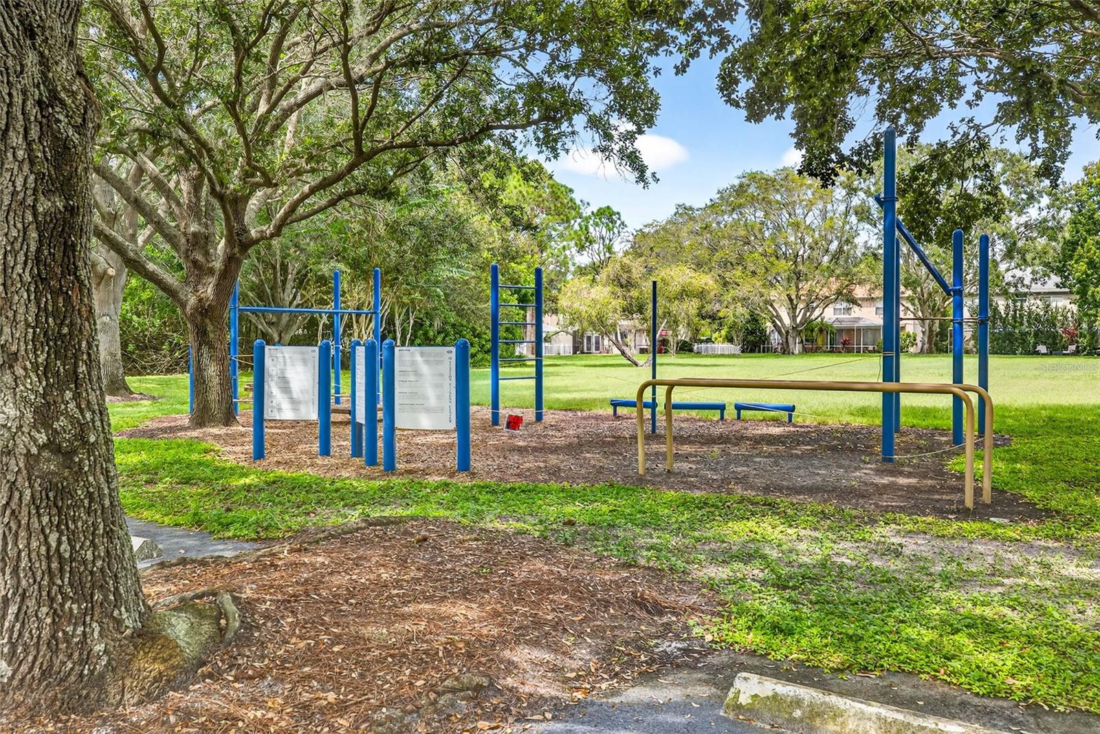 10007 VISTA POINTE DR — photo 77