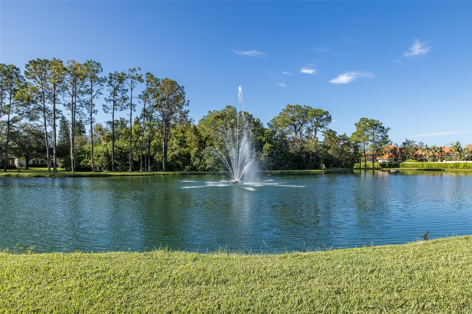 1856 ARBOR KNOLL LOOP — photo 62