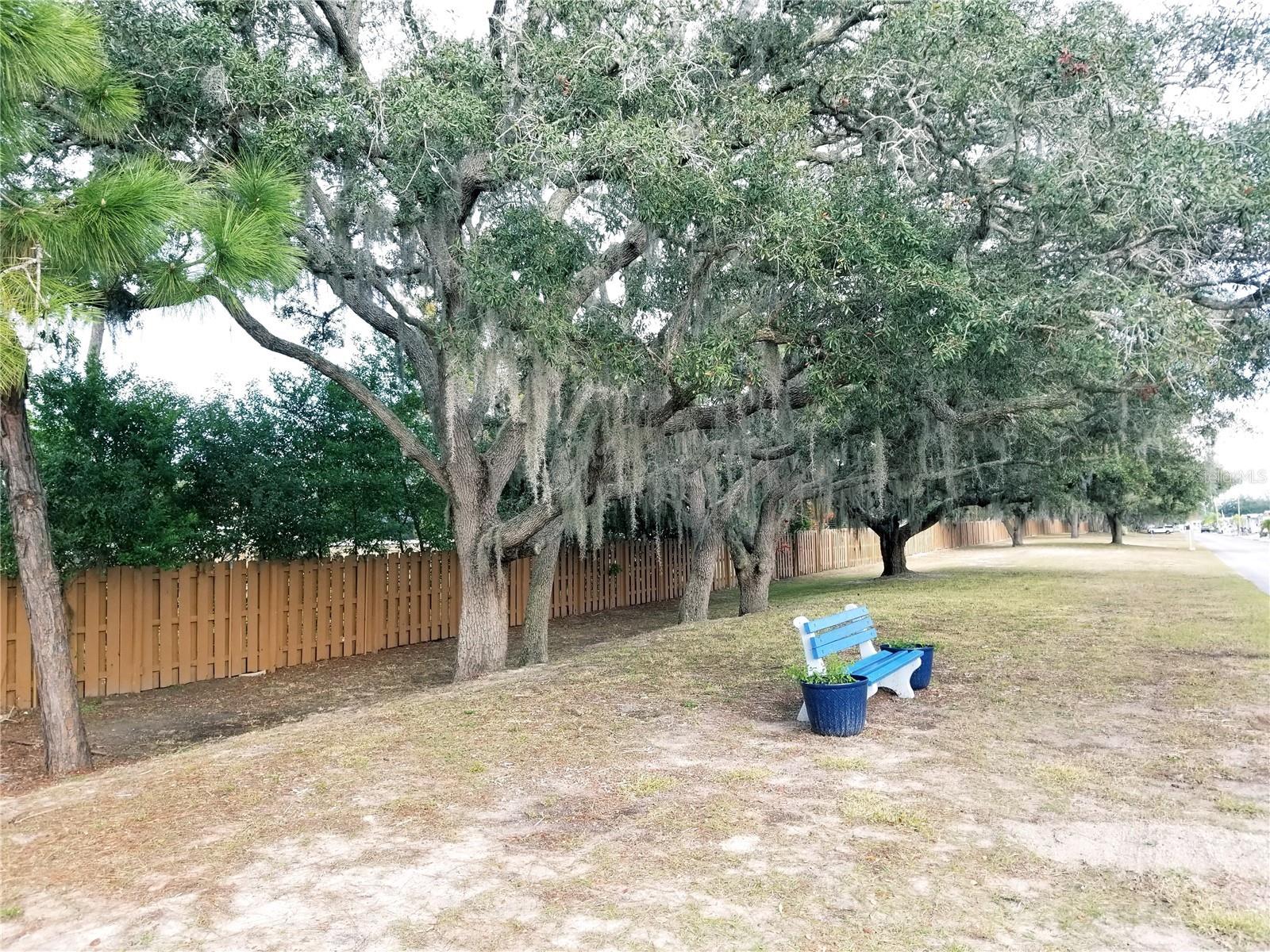 3302 KAUNA POINT DR — photo 4