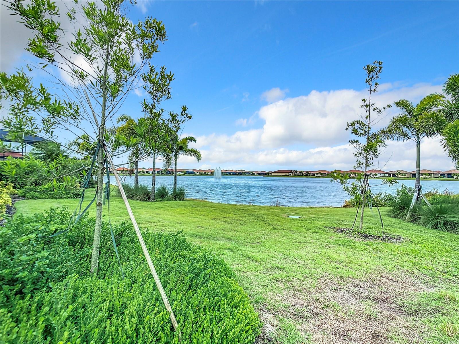 177 VINADIO BLVD — photo 36