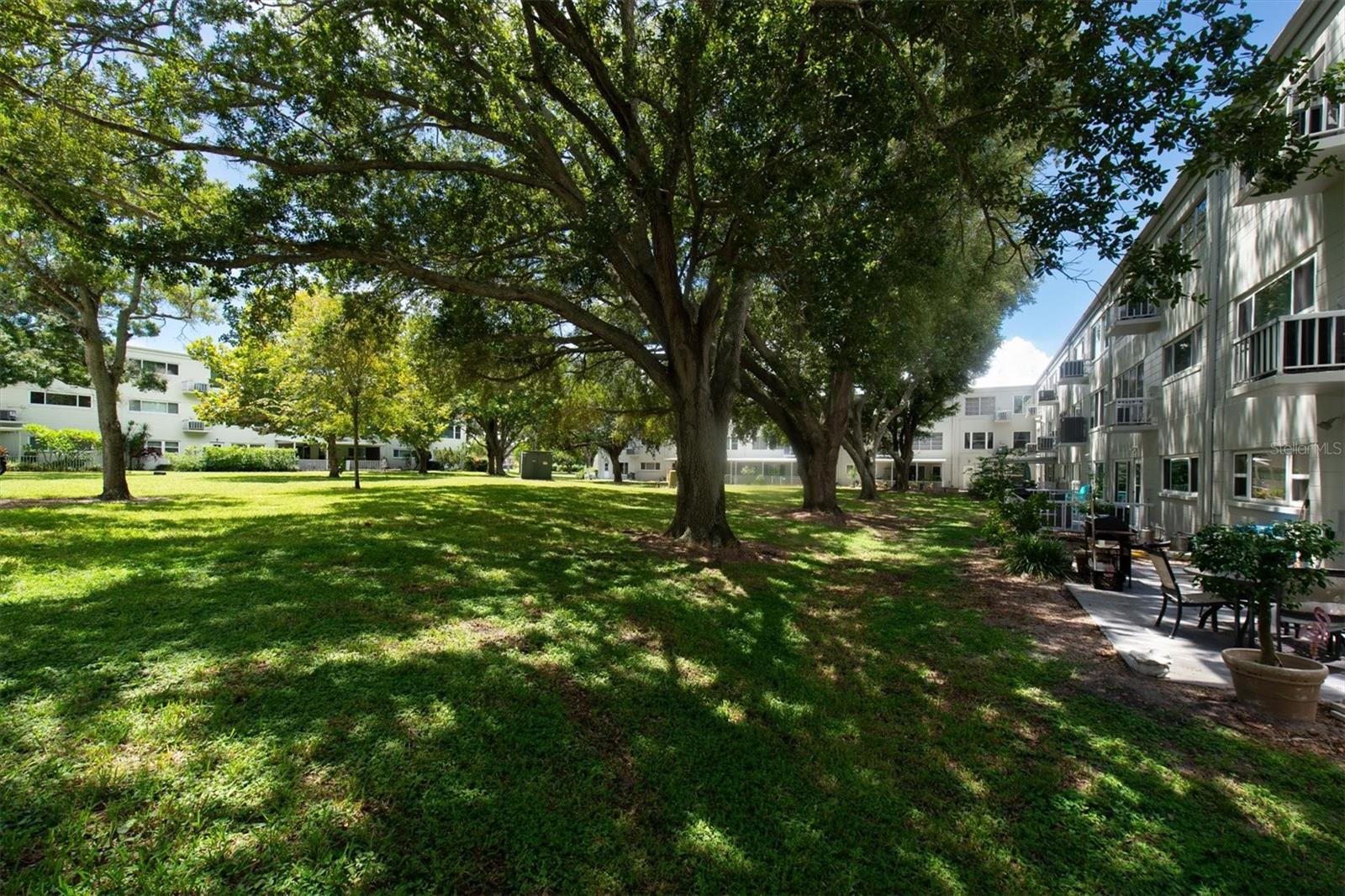 2261 SWEDISH DR #51 — photo 25