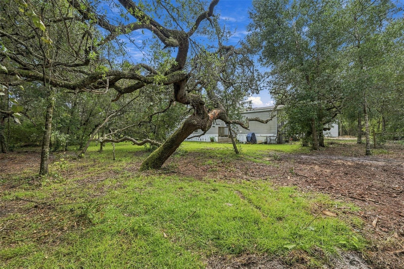 15247 LOMA AVE — photo 44