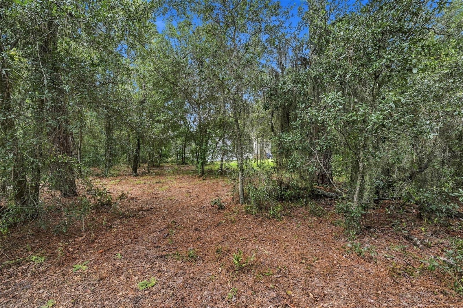 15247 LOMA AVE — photo 46