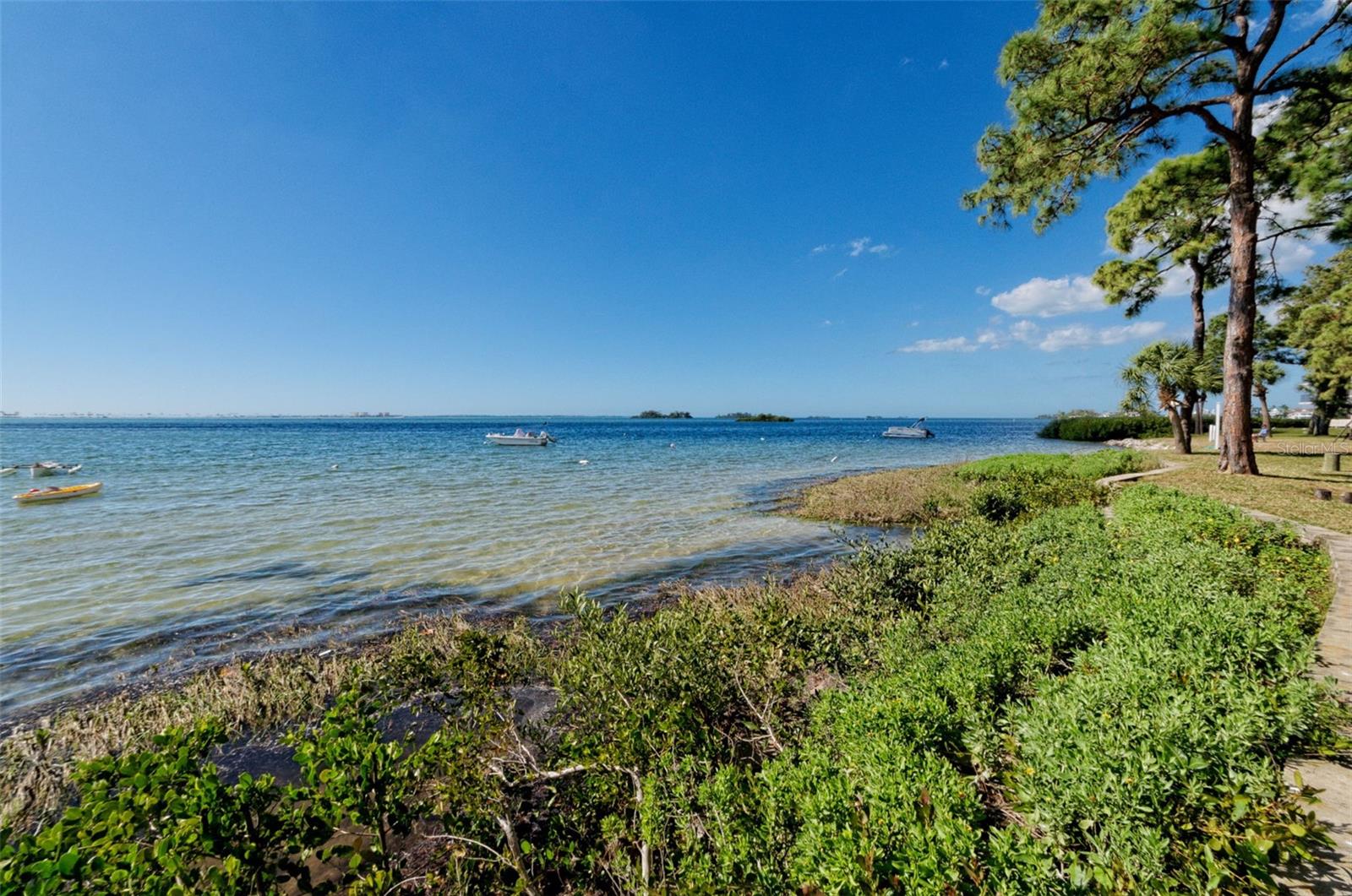 2700 BAYSHORE BLVD #2204 — photo 6