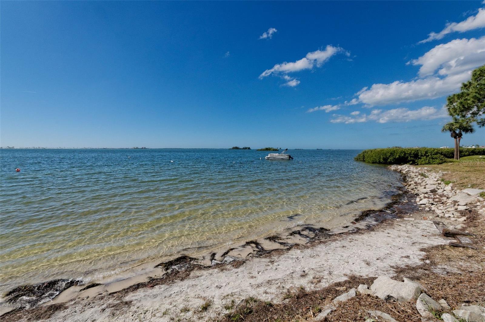 2700 BAYSHORE BLVD #2204 — photo 4