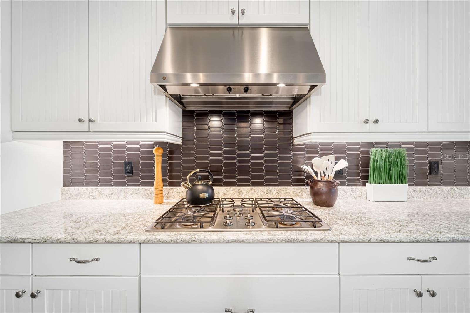6195 ANISE DR — photo 33