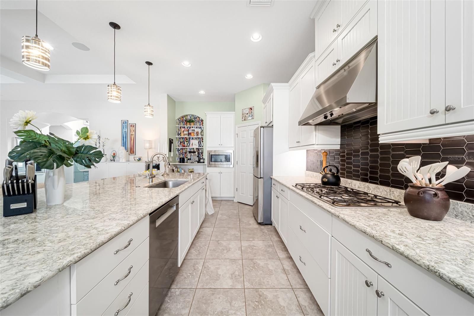 6195 ANISE DR — photo 30