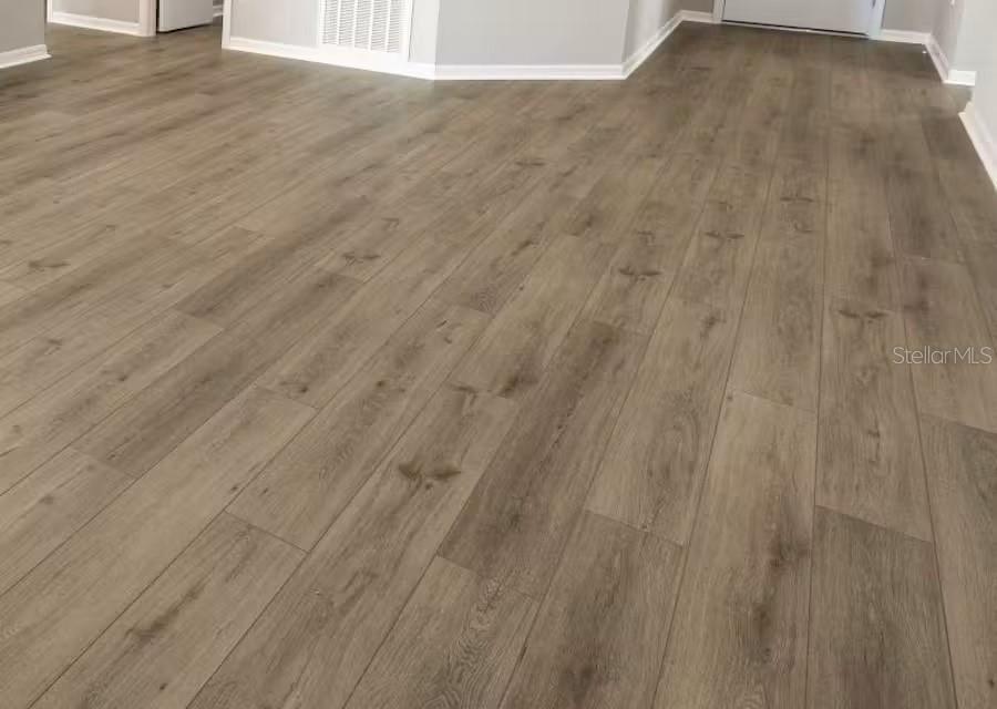 251 BLOSSOMING LILY AVE — photo 4