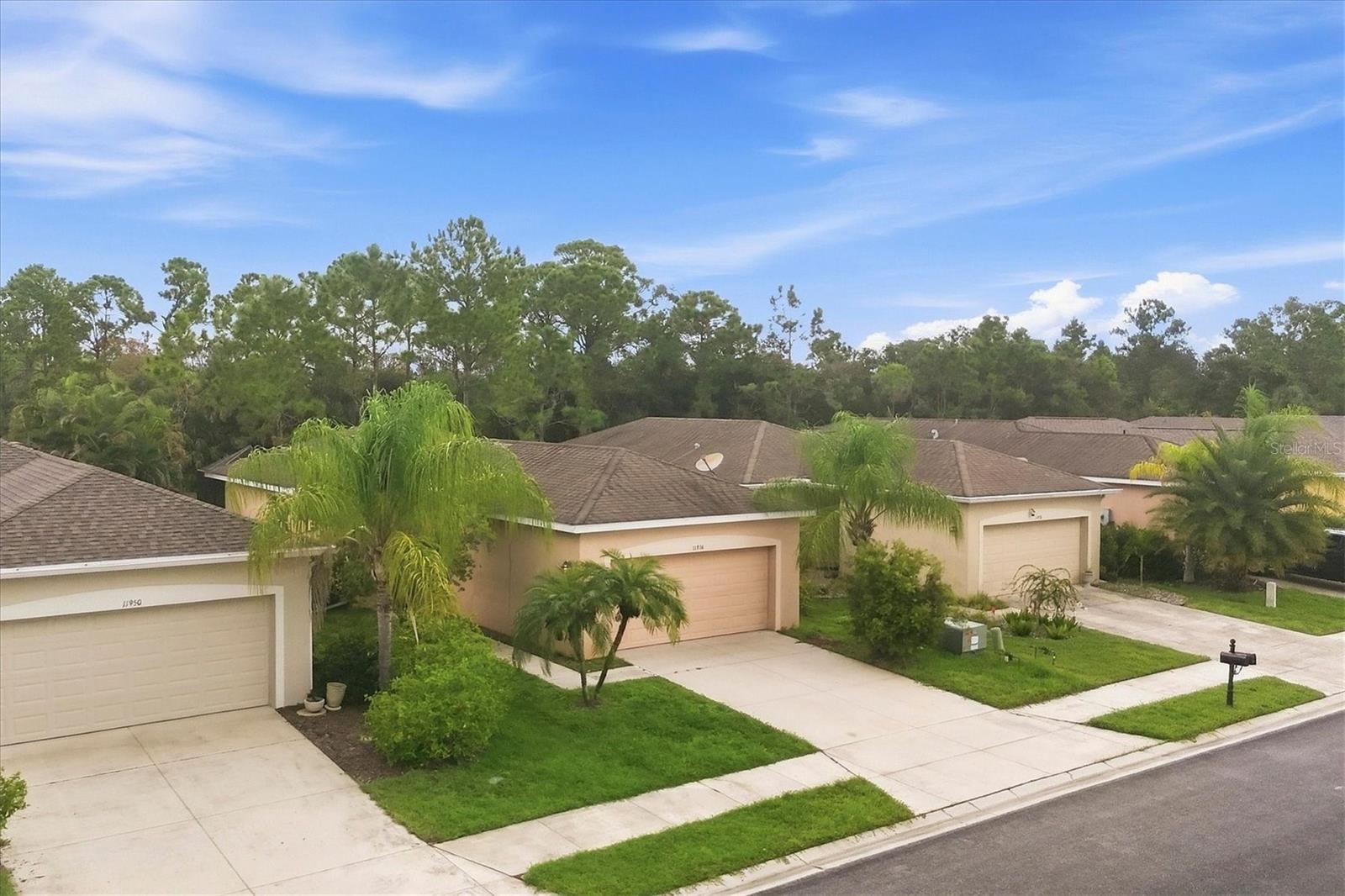 11954 TEMPEST HARBOR LOOP — photo 45