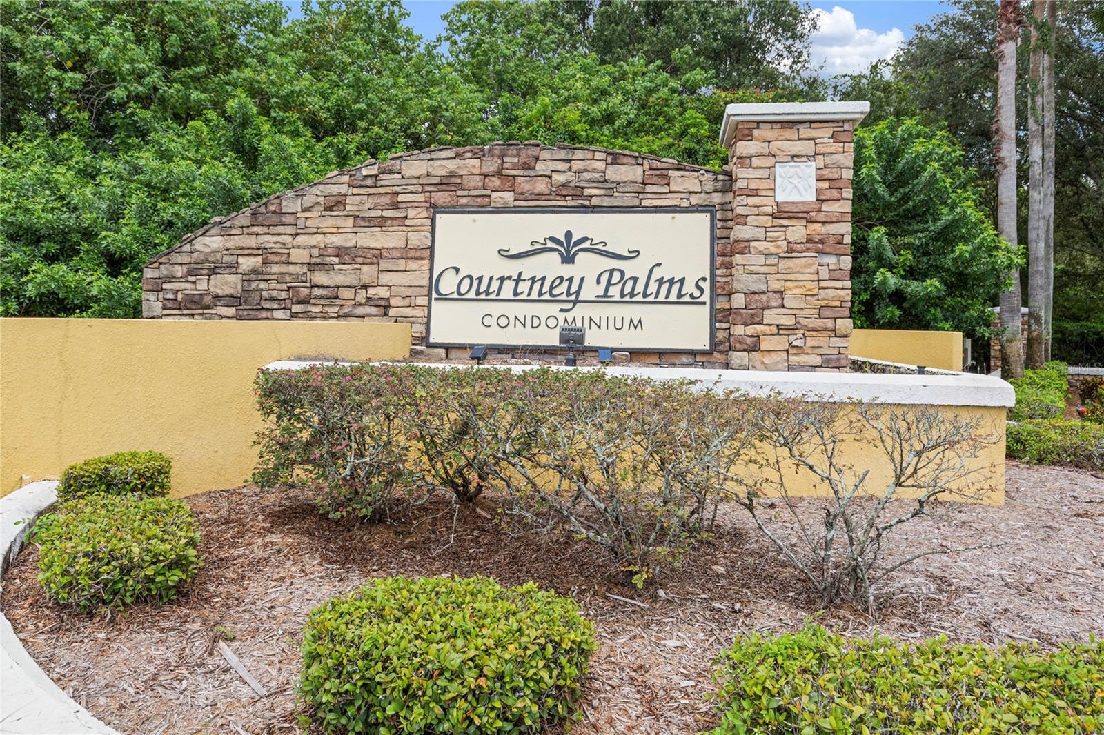 10105 COURTNEY OAKS CIR #203 — photo 30