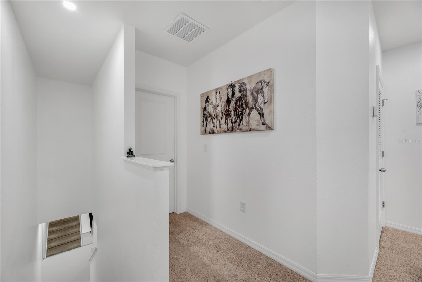 3209 PLEASANT WILLOW CT — photo 11