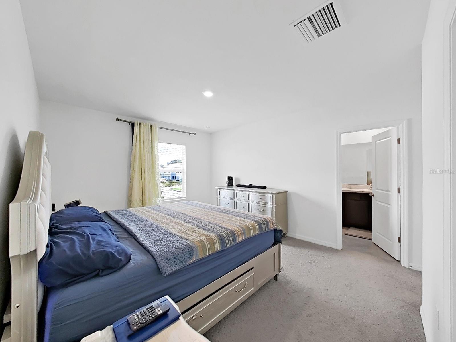 3556 WHITE DANDELION CT — photo 17