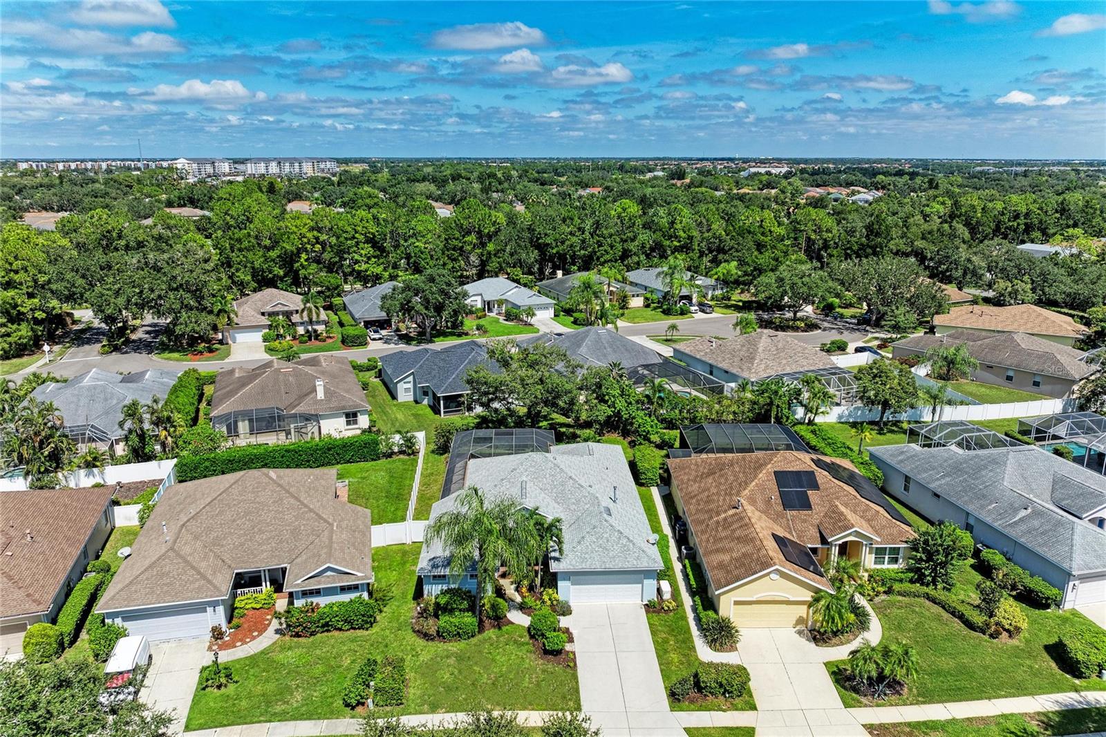 12105 BEEFLOWER DR — photo 38