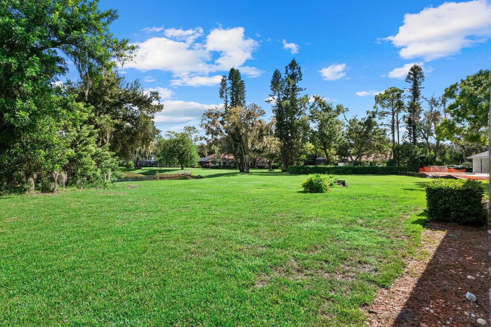7303 WEEPING WILLOW DR — photo 45