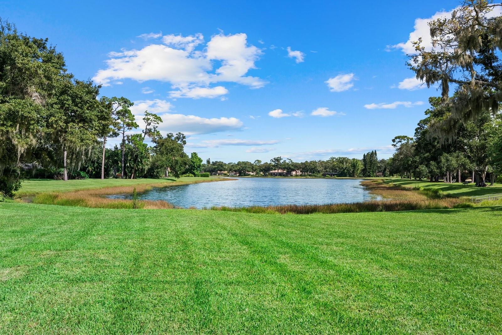 7303 WEEPING WILLOW DR — photo 46
