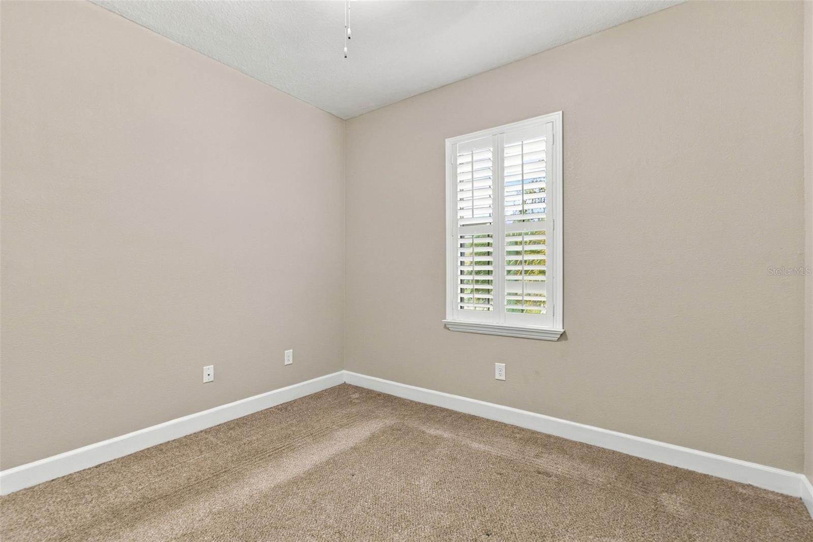 8021 WHITETAIL DEER WAY — photo 21