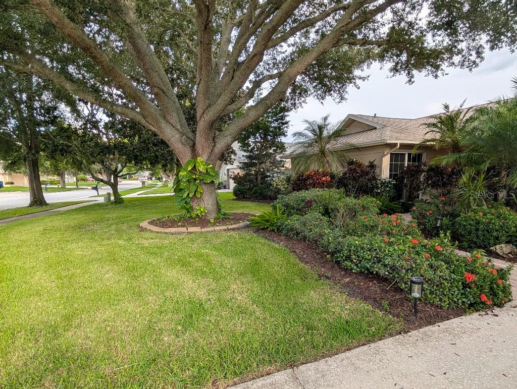 2673 MONTAGUE CT W — photo 2