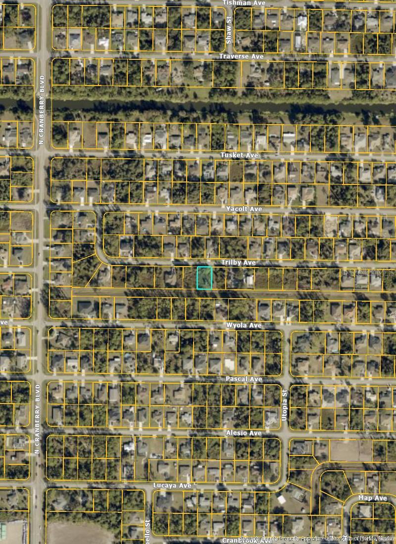 TRILBY AVE — photo 4
