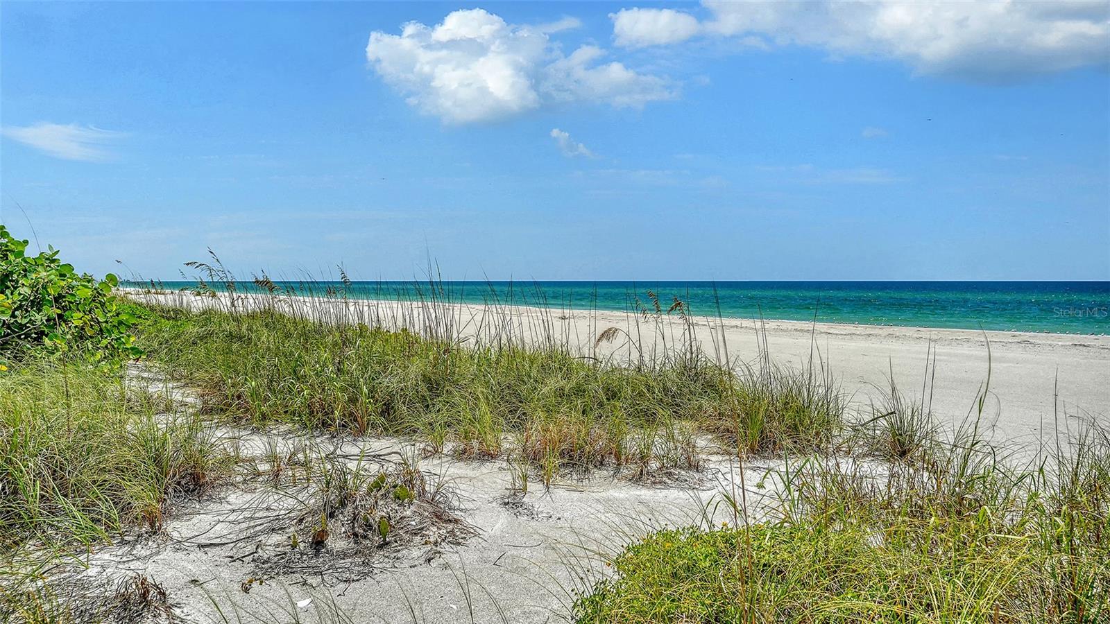 5461 GULF OF MEXICO DR #304 — photo 46