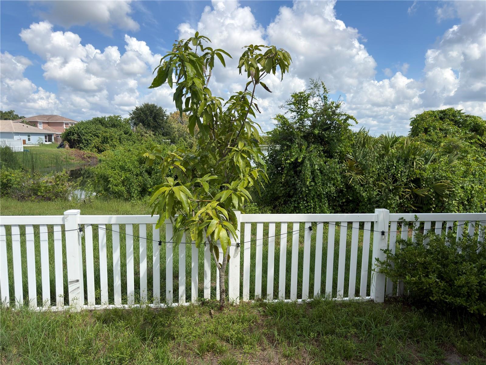 11340 SOUTHWIND LAKE DR — photo 34