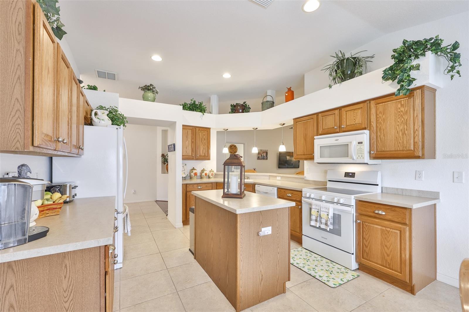 1251 CORINTH GREENS DR — photo 8