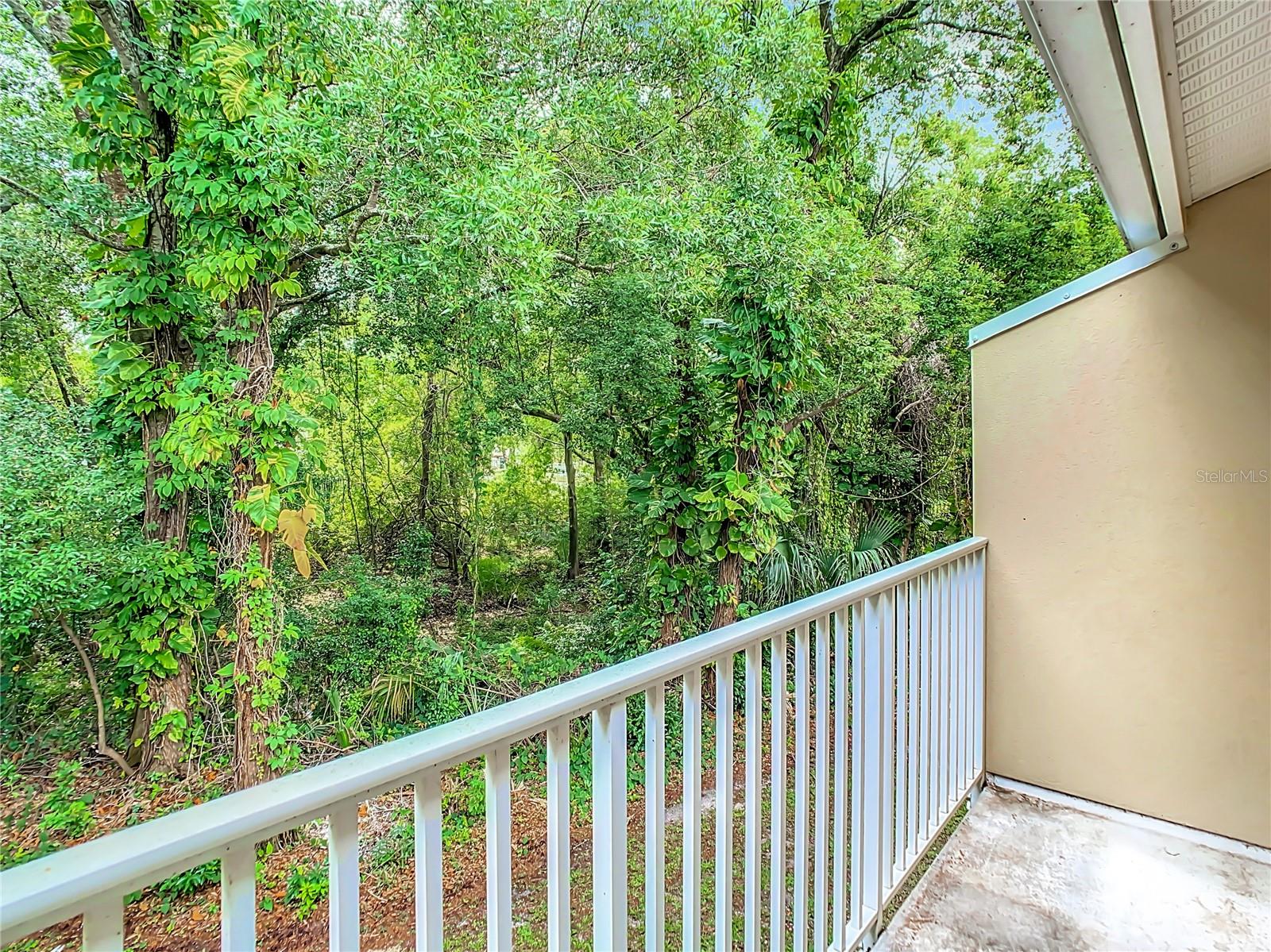 11237 CEDAR HOLLOW LN — photo 29