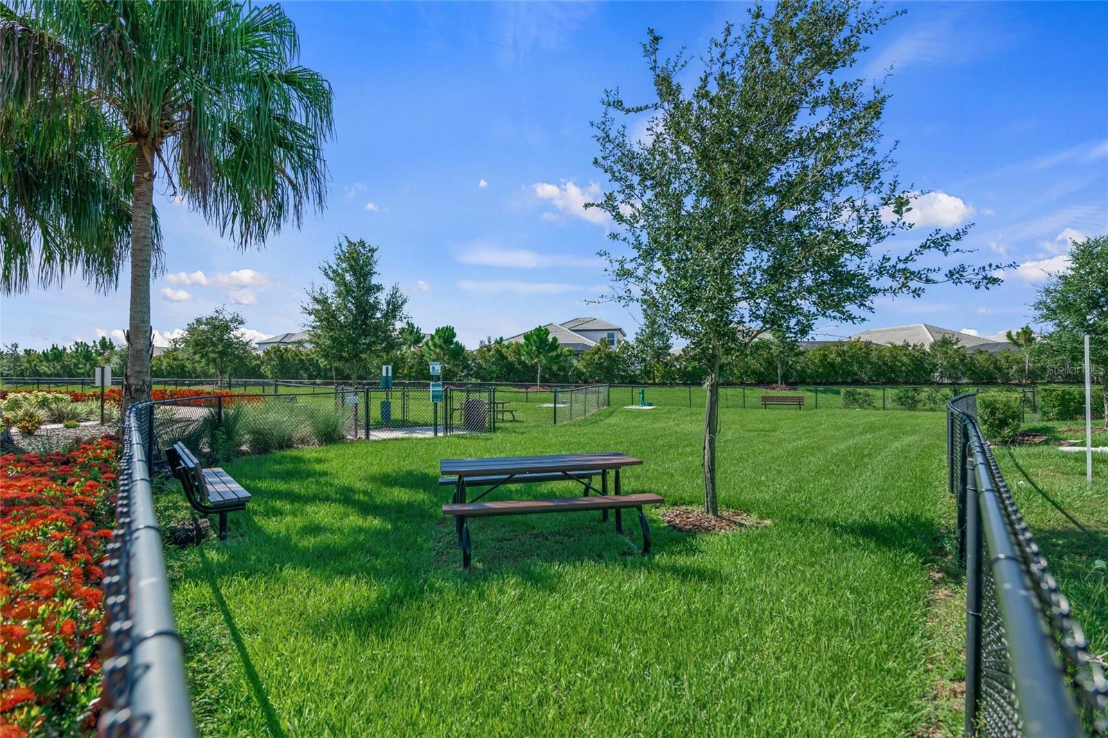 11504 APPLE TREE CIR — photo 74