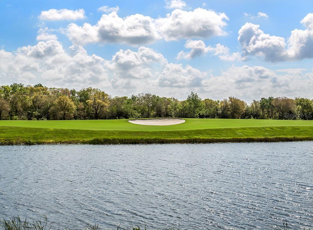 5528 PALMER CIR #105 — photo 57