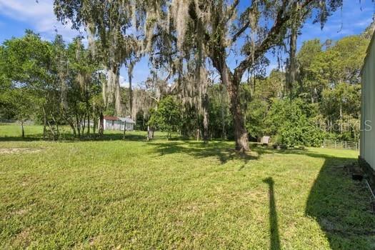 11741 BRUIN DR — photo 71