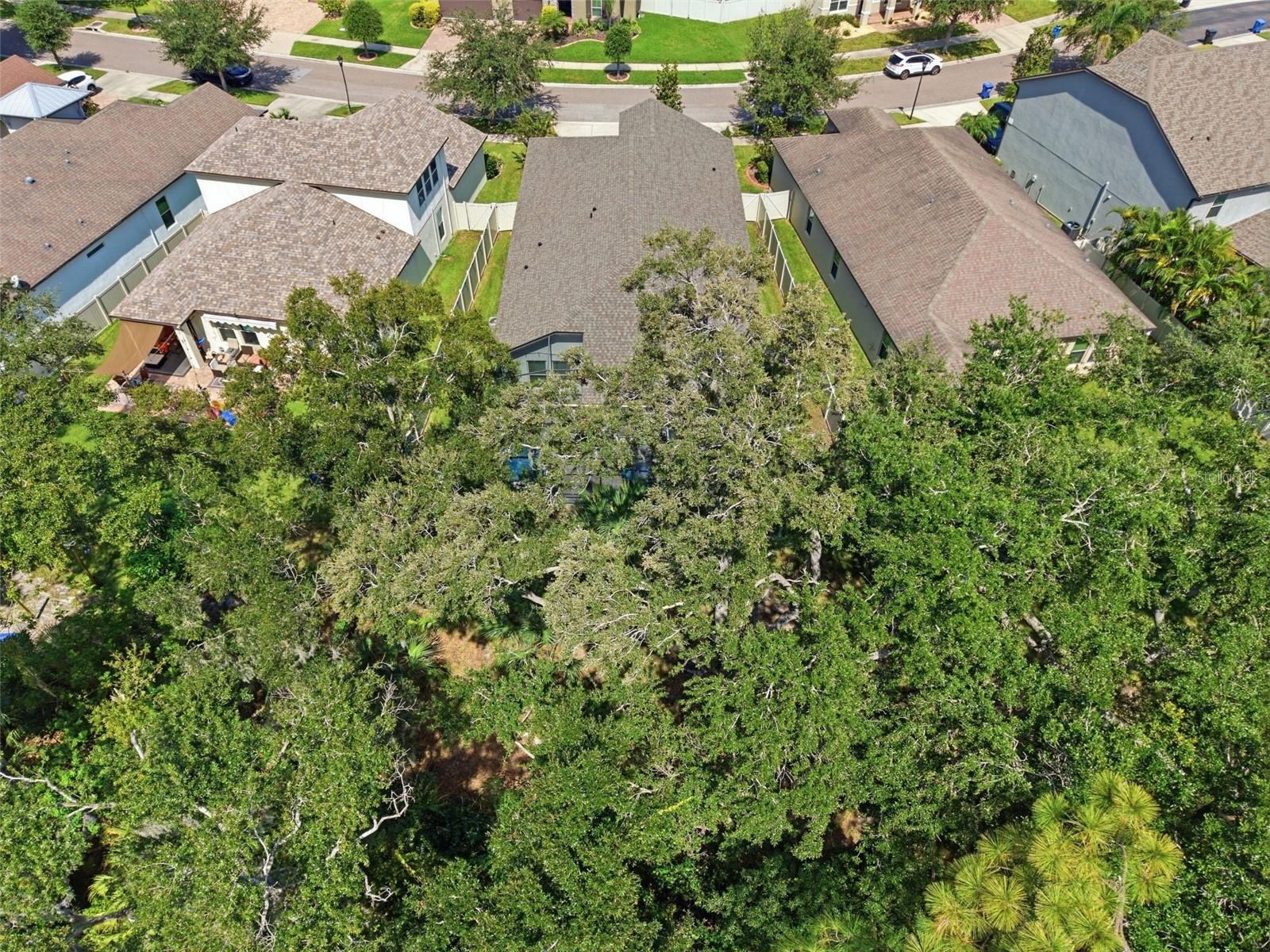 10443 ALCON BLUE DR — photo 41