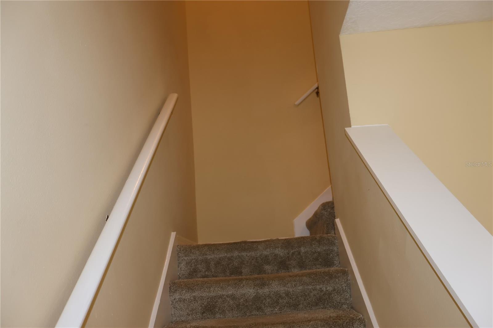3019 POINTEVIEW DR — photo 28