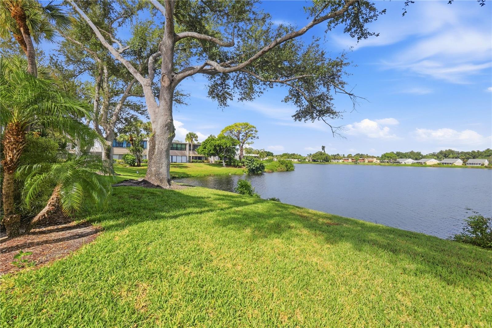 307 TIMBERLAKE DR #307 — photo 7