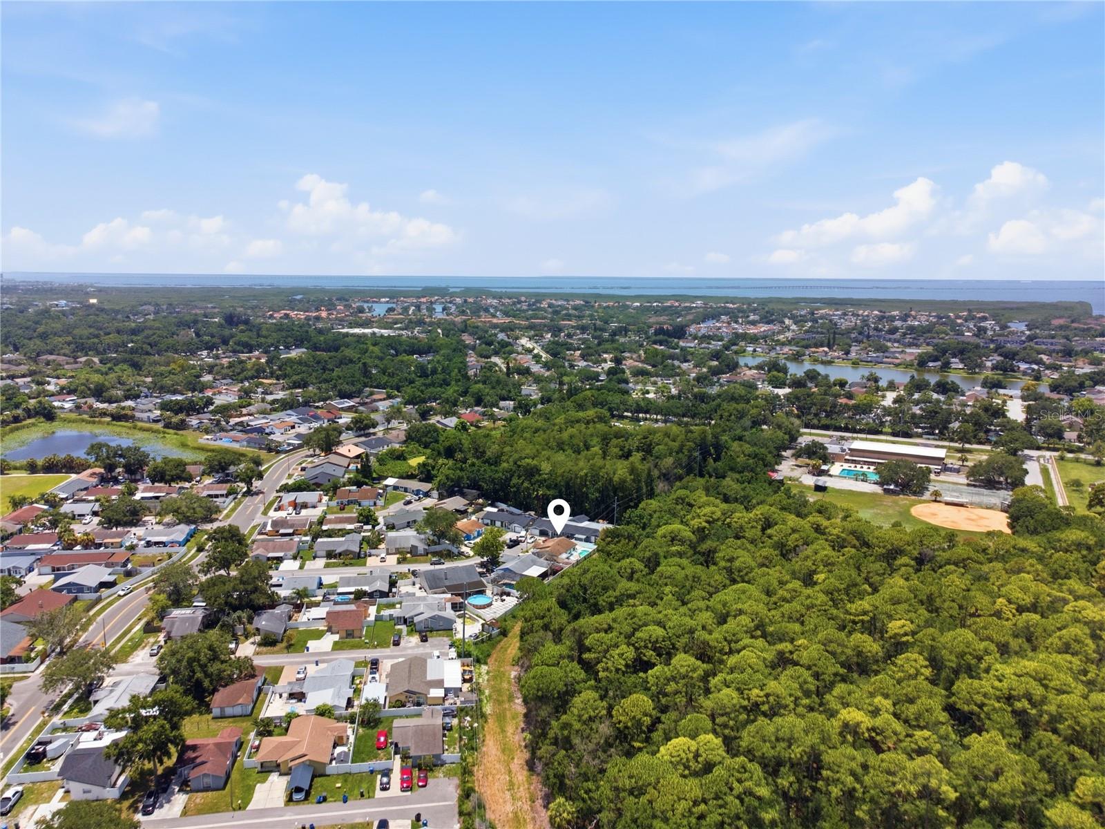 10311 ORCHARD HILLS CT — photo 13