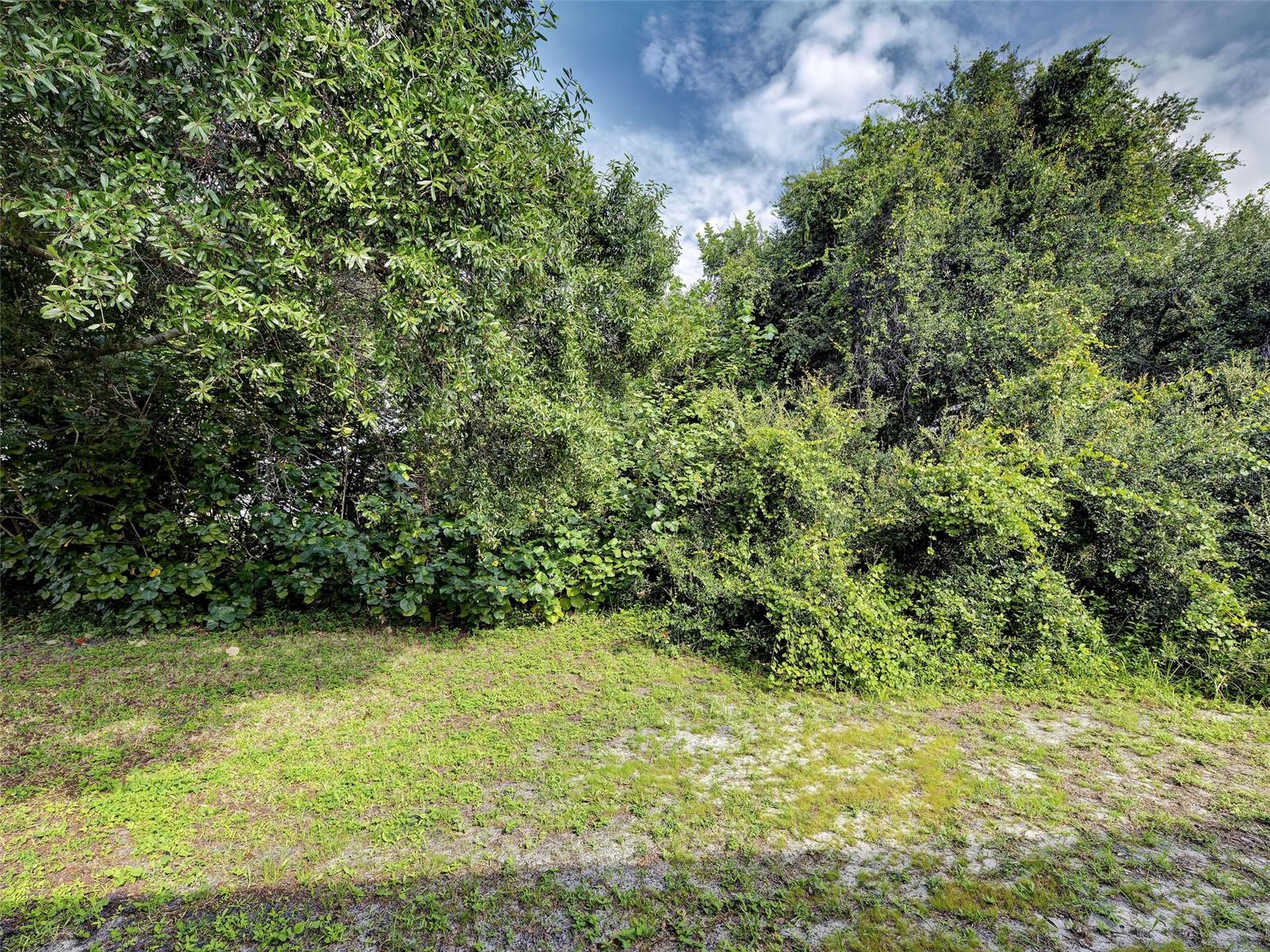 2635 SHENANDOAH ST — photo 40