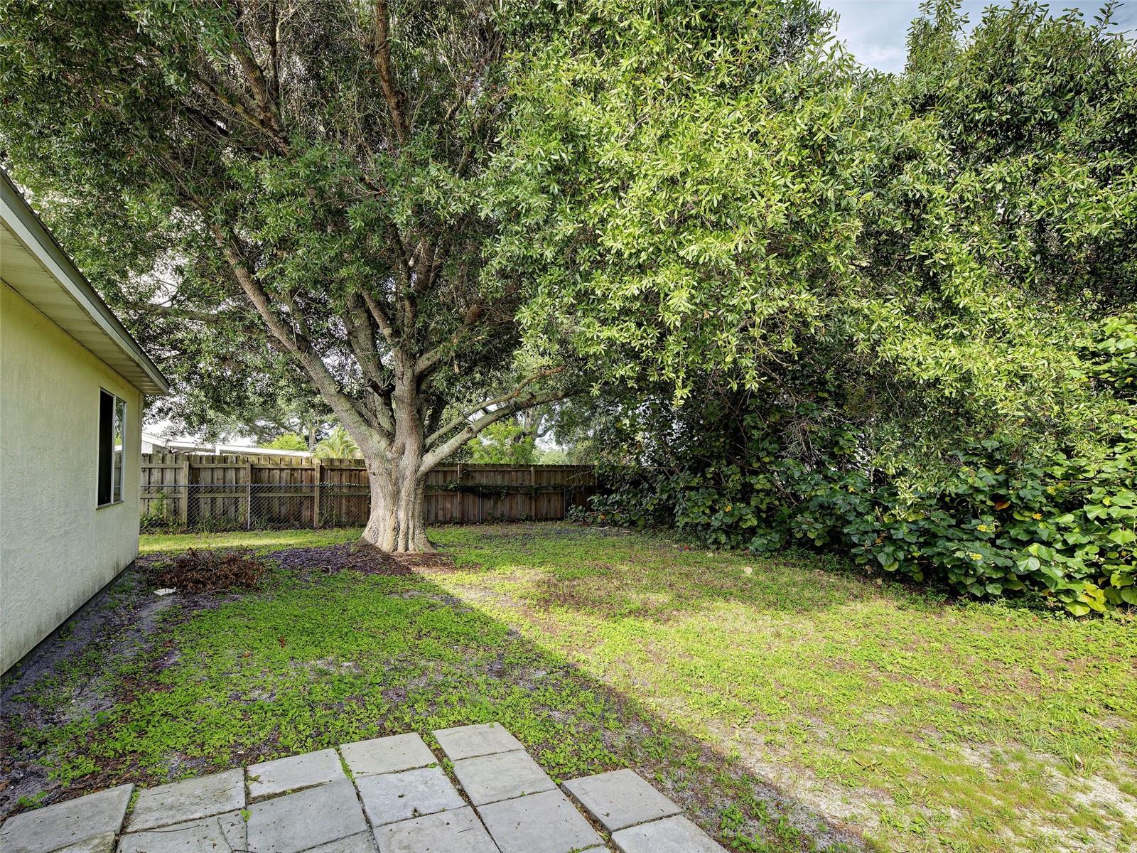 2635 SHENANDOAH ST — photo 41
