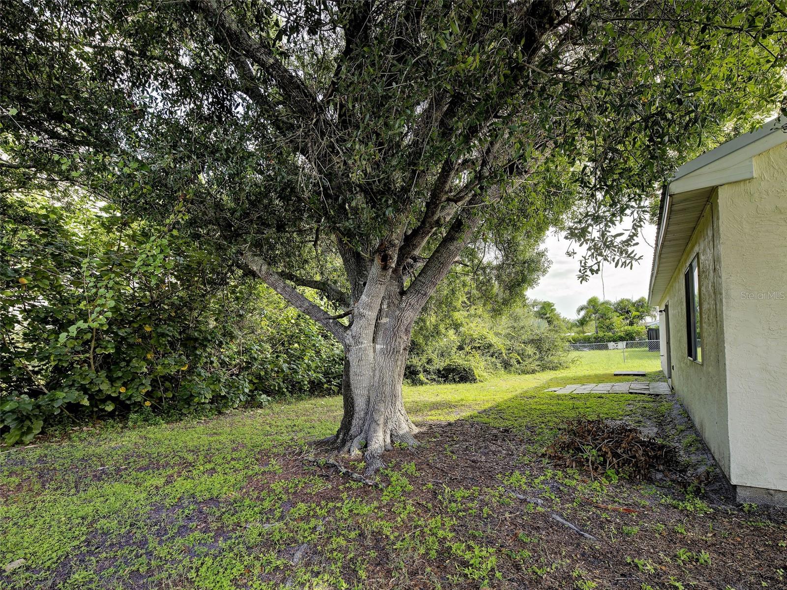 2635 SHENANDOAH ST — photo 39