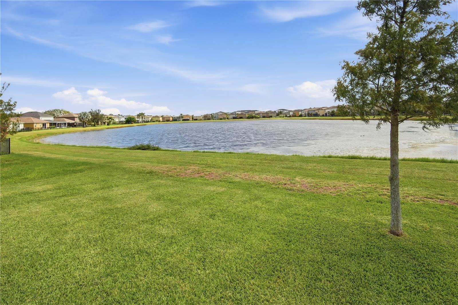 10016 NEWMINSTER LOOP — photo 20