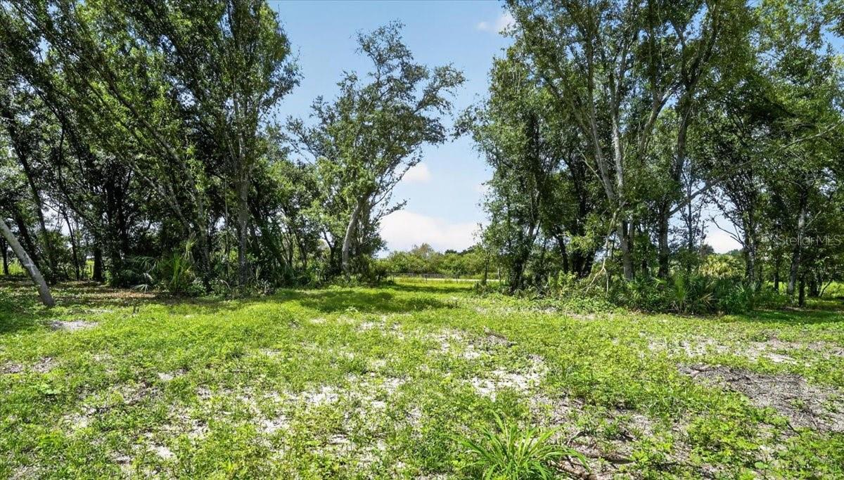 4415 VERNA BETHANY RD — photo 8