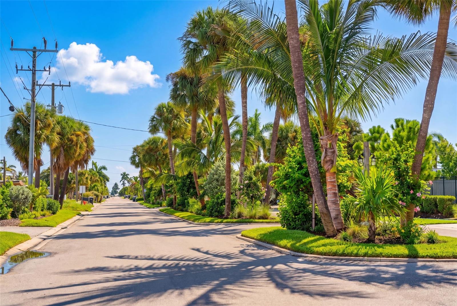 3708 ROYAL PALM DR — photo 58