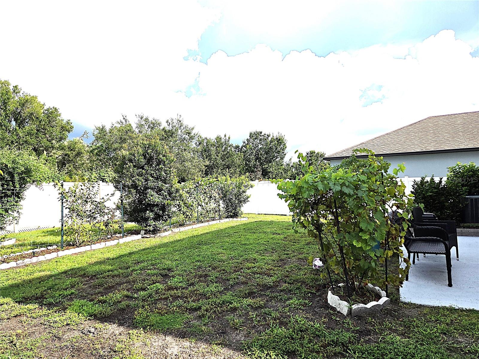 4529 REISSWOOD LOOP — photo 49