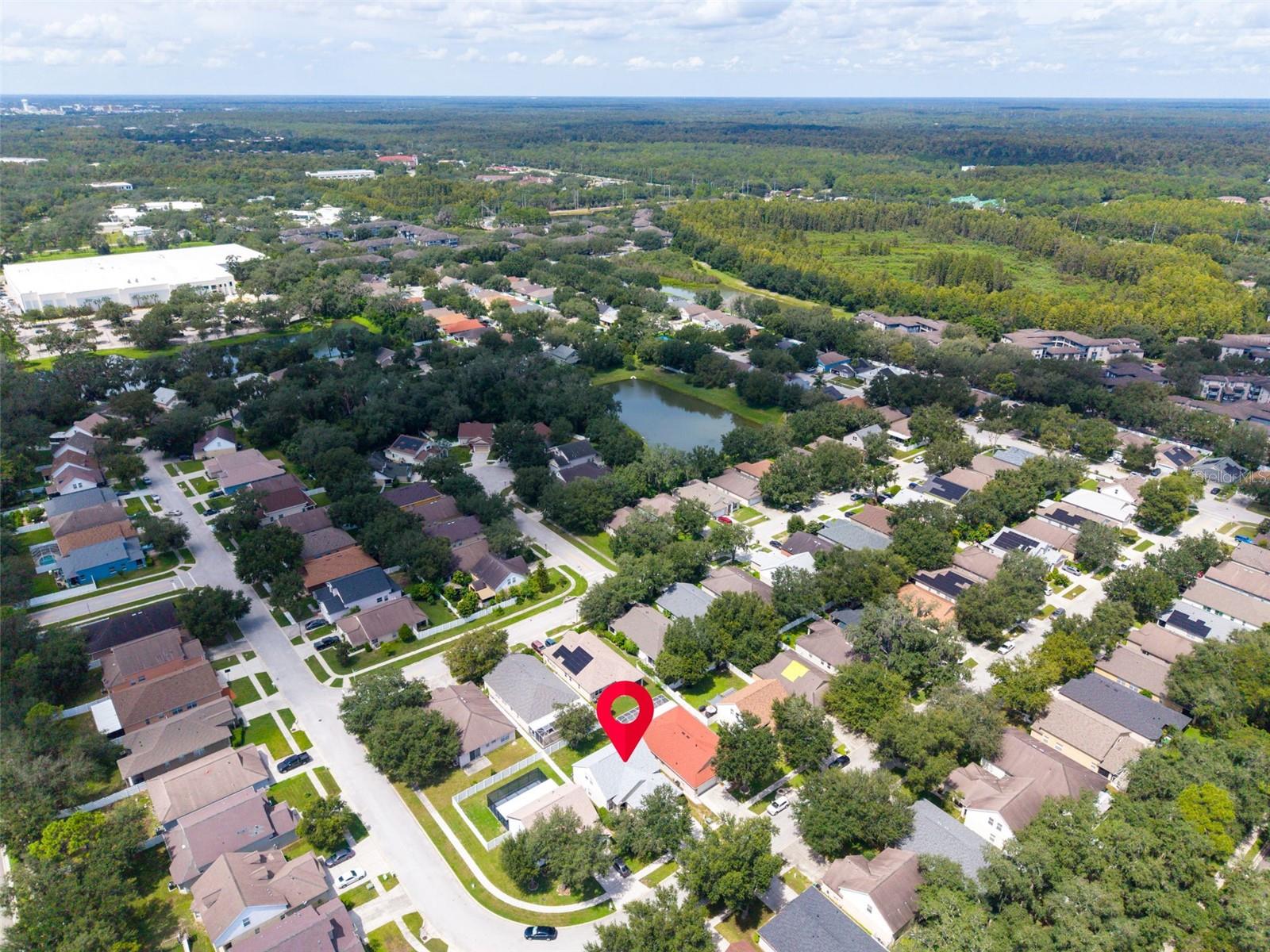 13028 TERRACE SPRINGS DR — photo 55