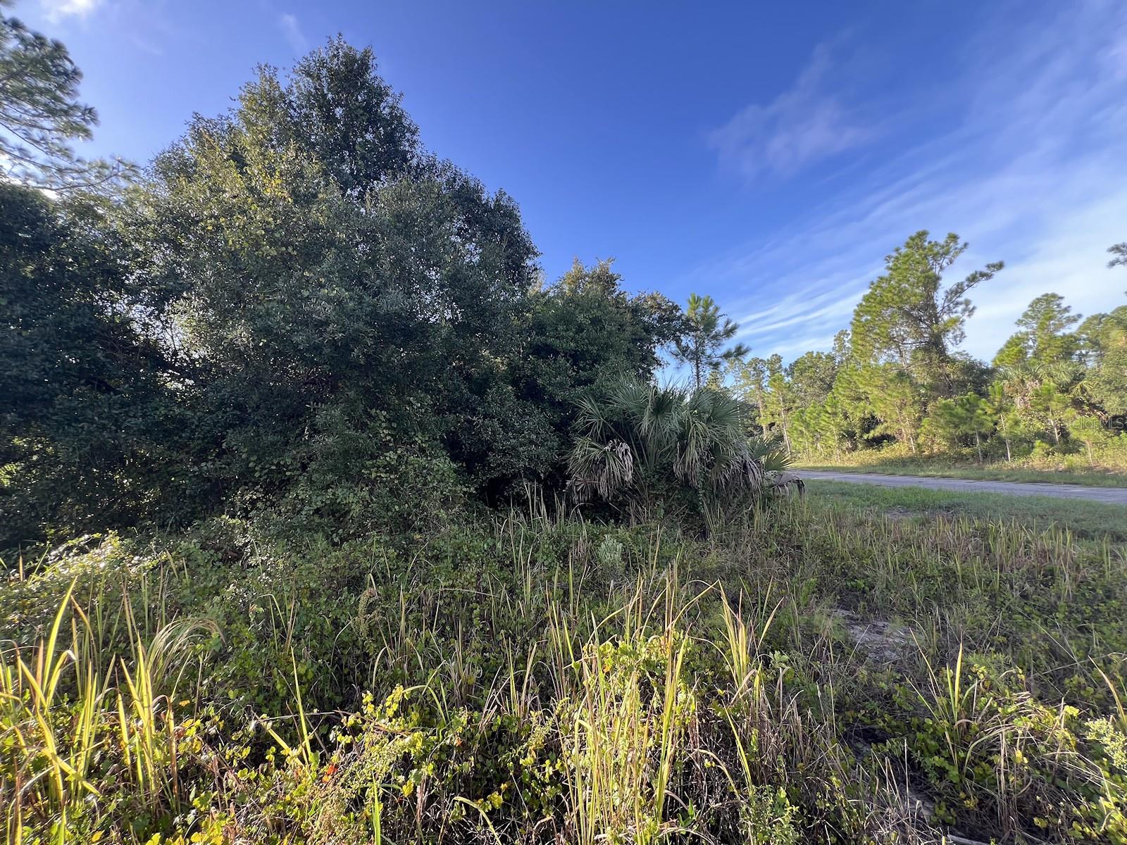 HAMERTON RD #Lot 12 — photo 3