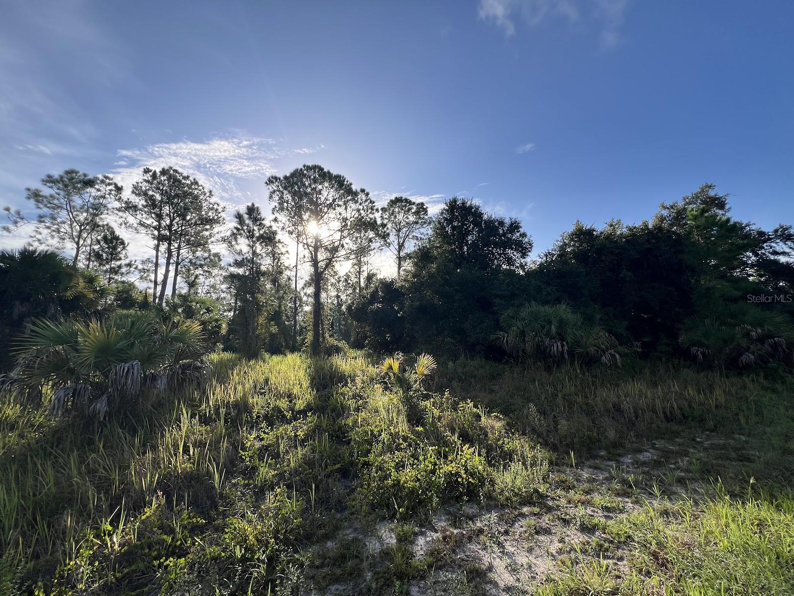 HAMERTON RD #Lot 12 — photo 2