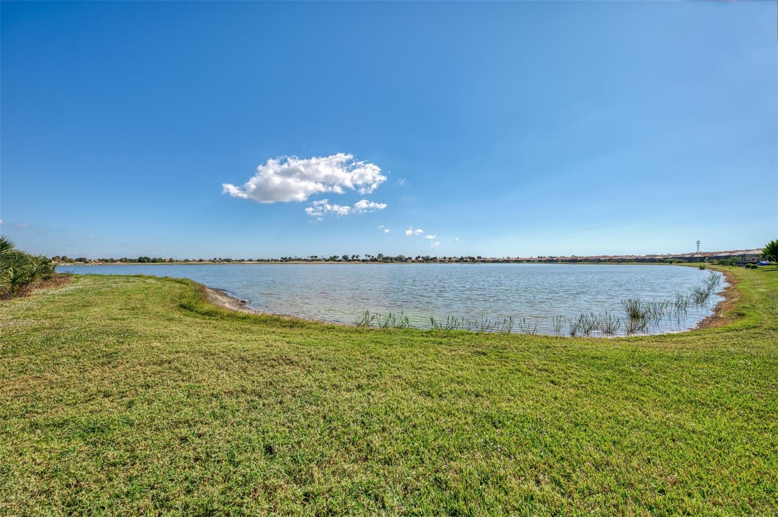 24080 SPARTINA DR — photo 50