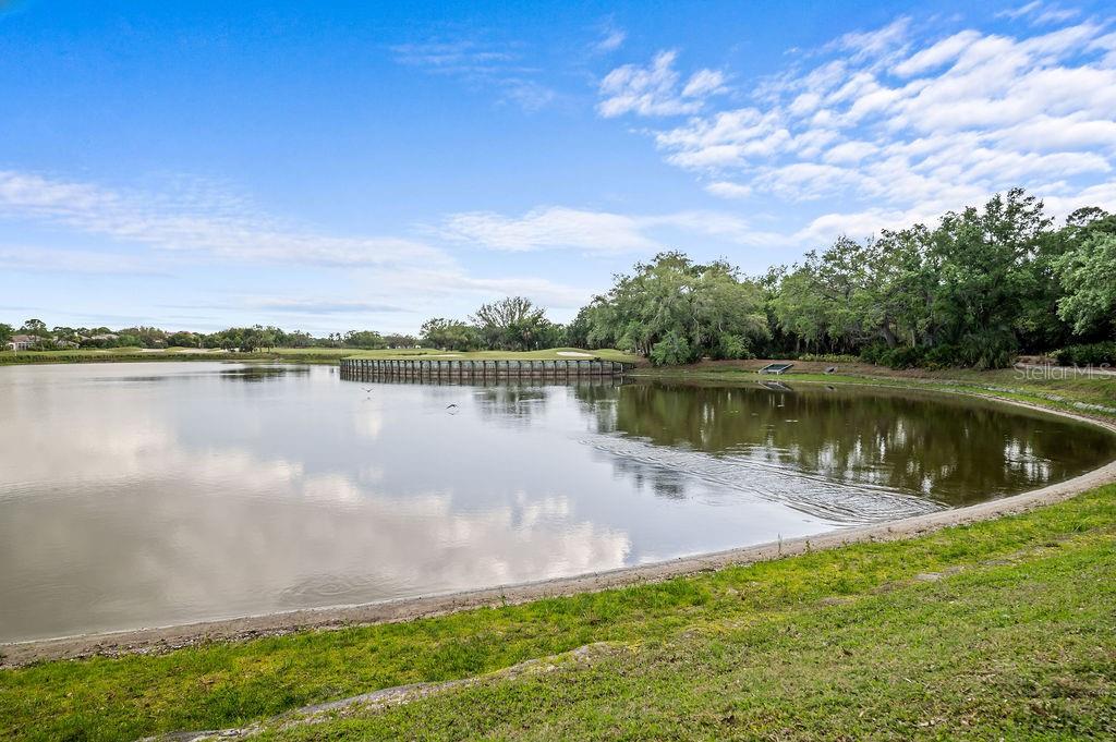 7117 VICTORIA CIR — photo 43