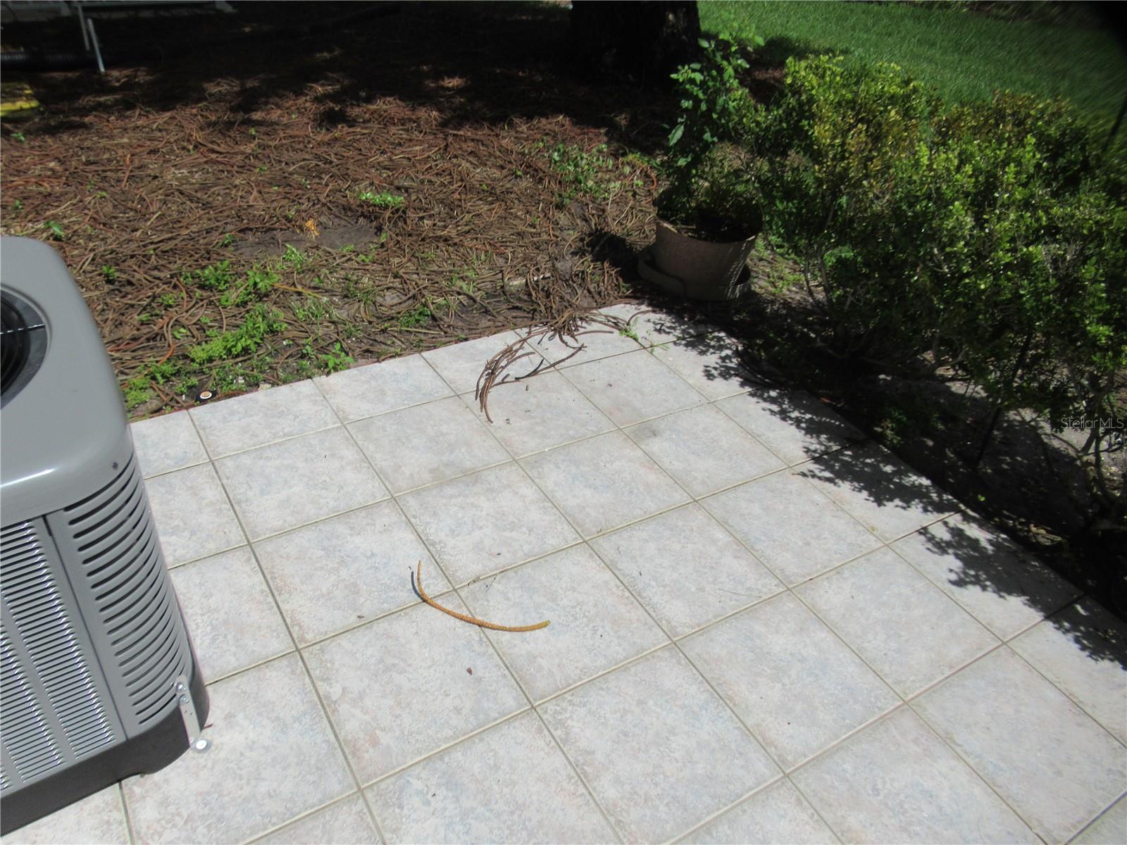 2441 PERSIAN DR #3 — photo 27