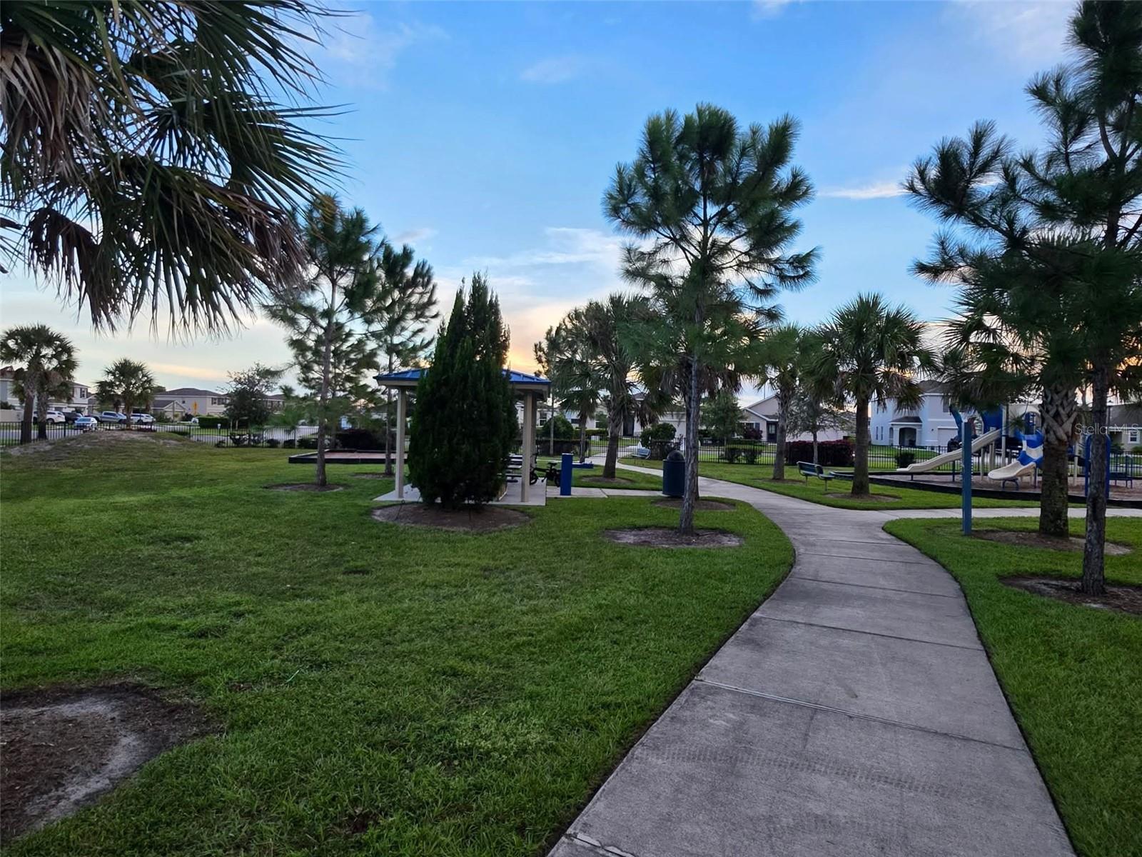 11925 MOUNTAIN ISLAND TRL — photo 23