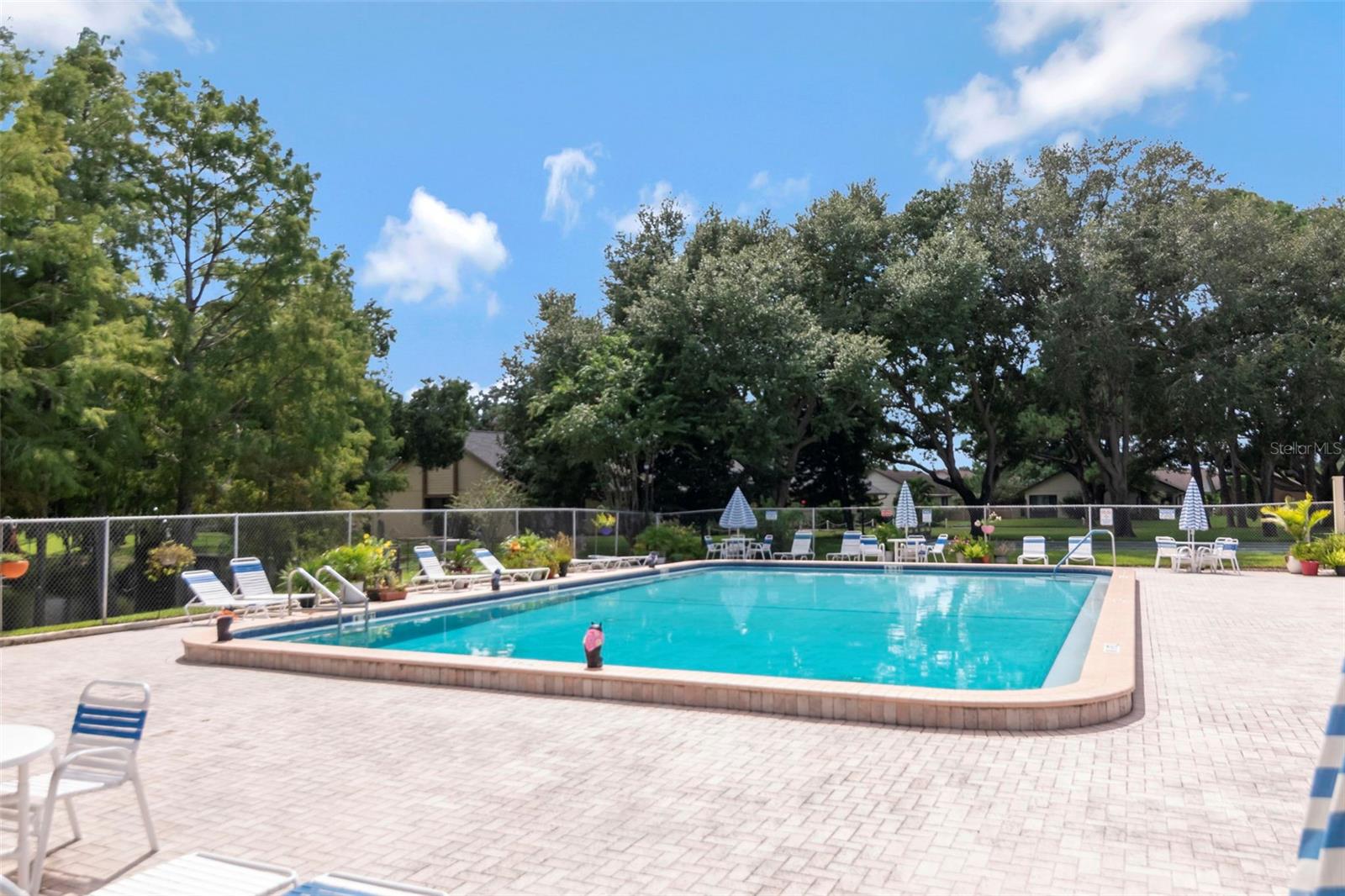 2569 LAURELWOOD DR #11B — photo 38